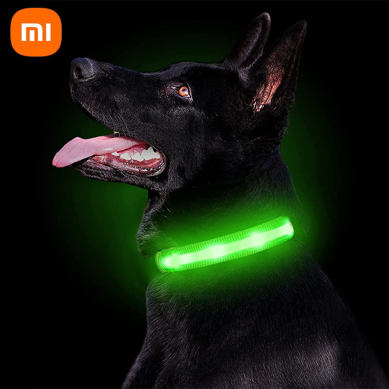 LED Glowing Dog Collar - Nimbyfruit