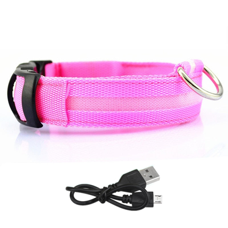 LED Glowing Dog Collar - Nimbyfruit