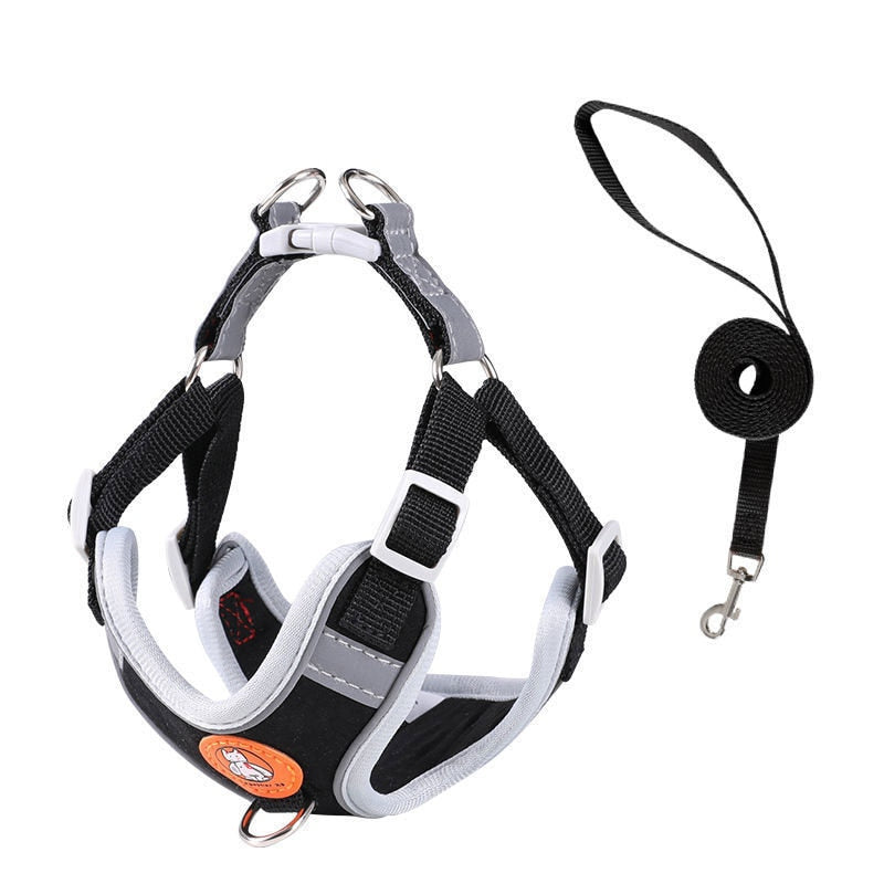 Adjustable dog harness - Nimbyfruit