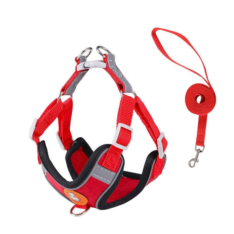 Adjustable dog harness - Nimbyfruit