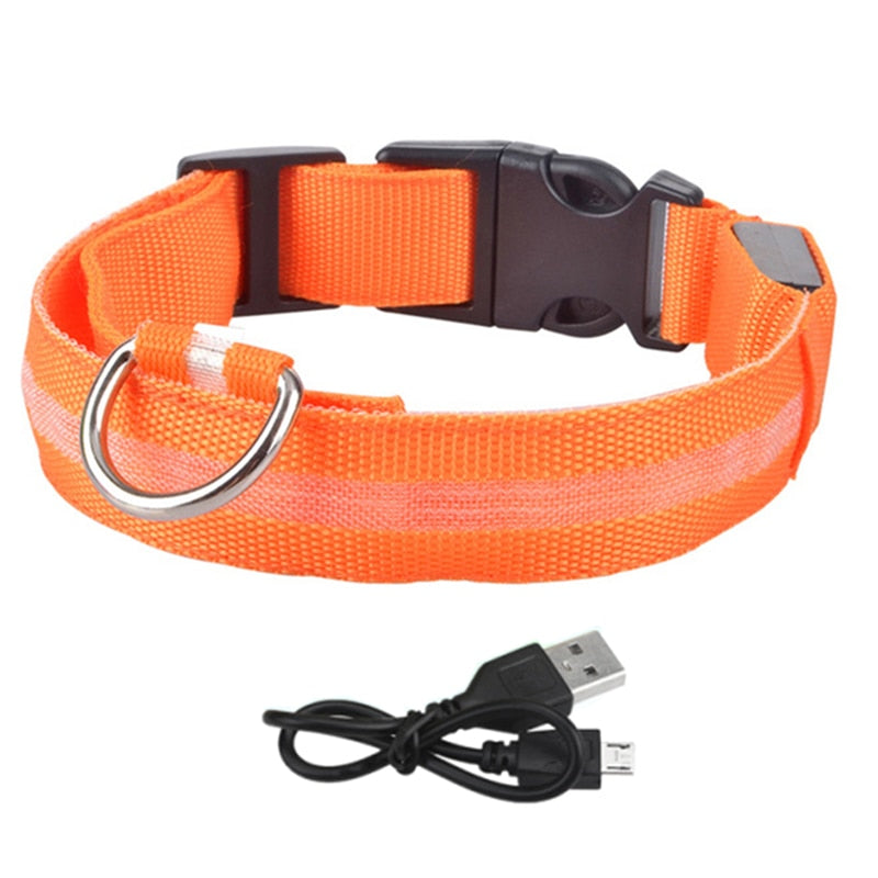 LED Glowing Dog Collar - Nimbyfruit