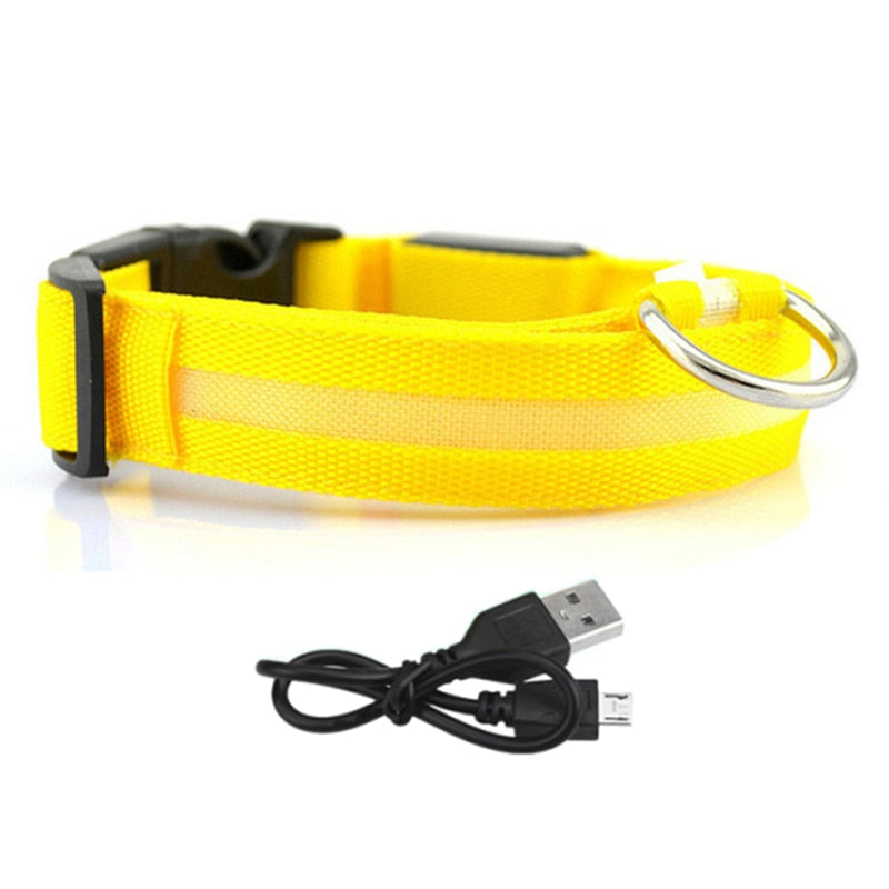 LED Glowing Dog Collar - Nimbyfruit