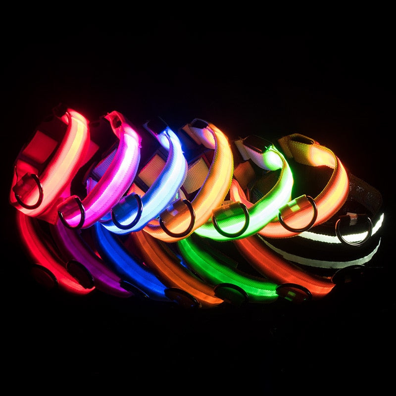 LED Glowing Dog Collar - Nimbyfruit