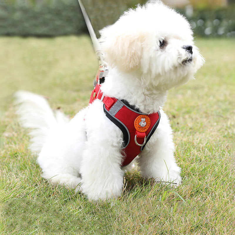 Adjustable dog harness - Nimbyfruit