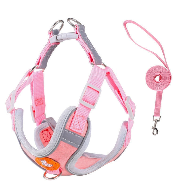 Adjustable dog harness - Nimbyfruit